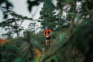 BIB: 
                            <button type="button" onclick="openModal(25258454)" class="btn btn-primary btn-sm float-right btn-popup" data-toggle="modal" data-target=".modal-high-quality">
                        <i class="fas fa-shopping-cart"></i> Add to Cart
                    </button>
                                            <button type="button" onclick="isThisMe(25258454, true)" class="btn btn-success btn-sm float-right btn-popup btn-isme hidden" data-toggle="tooltip" data-placement="bottom" title="นี่คือรูปของคุณใช่ไหม คลิกที่นี่เพื่อเอาเข้าอัลบั้ม">
                        <i class="fas fa-plus"></i> Add to album
                    </button>
                    <button type="button" onclick="isThisMe(25258454, false)" class="btn btn-warning btn-sm float-right btn-popup btn-isnotme hidden">
                        <i class="fas fa-ban"></i> Remove from album
                    </button>